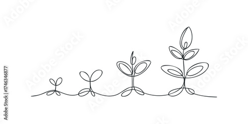 Seedling Growth Stages In Continuous Line Art