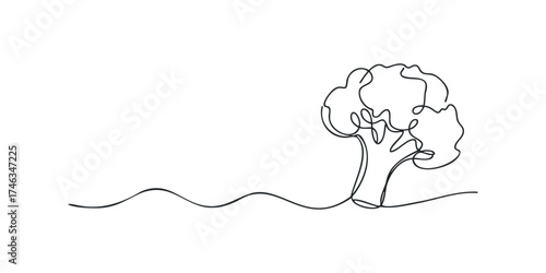 One line drawing of a broccoli head with stem