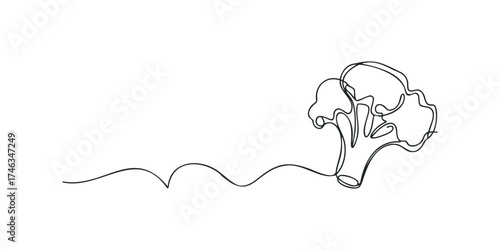 Continuous line drawing of broccoli