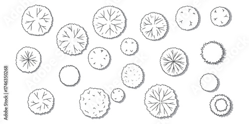 CAD Drawings. Set tree outlines isolated on white background. Tree plan drawing, elements for environment and garden. Top view. Vector illustration.