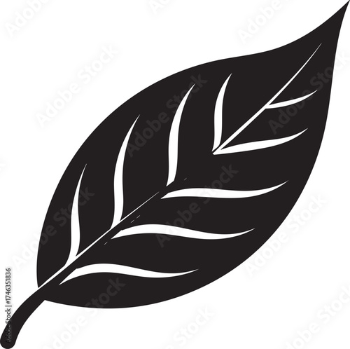 Willow Branch Leaf Silhouette | Black Vector Illustration Design