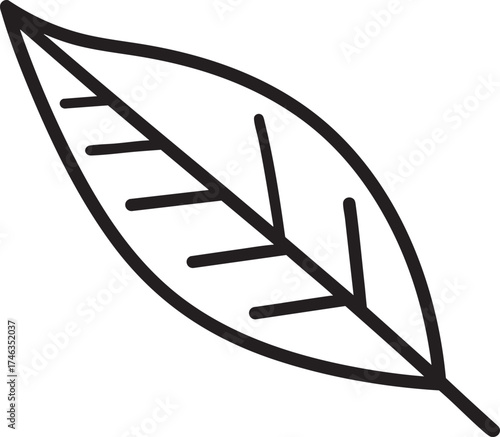 Willow Branch Leaf Silhouette | Black Vector Illustration Design