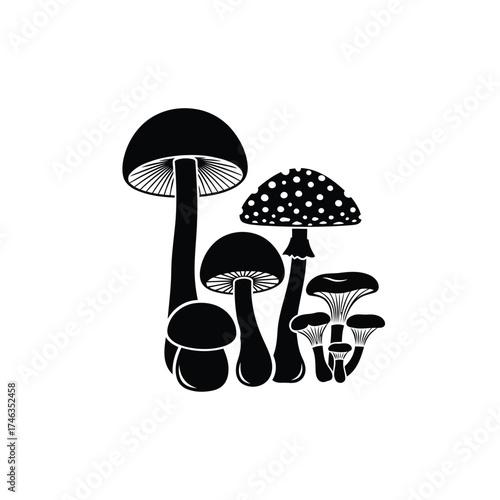 Vector illustration of group of various mushrooms silhouette