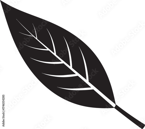 Willow Branch Leaf Silhouette | Black Vector Illustration Design