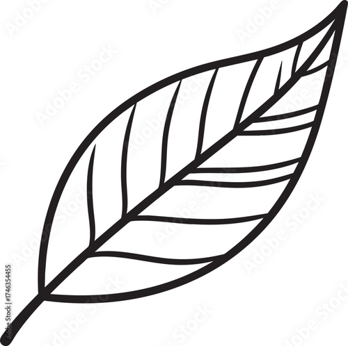 Willow Branch Leaf Silhouette | Black Vector Illustration Design