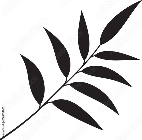 Willow Branch Leaf Silhouette | Black Vector Illustration Design