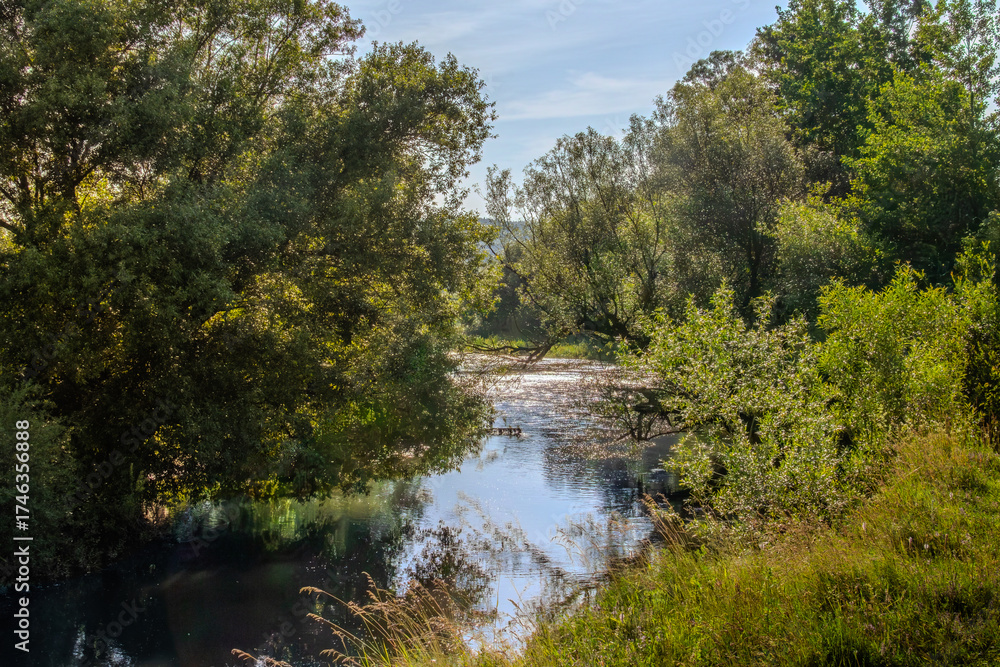 Obraz premium Lush greenery surrounds a serene riverbank at sunrise in a tranquil natural setting filled with foliage and reflections on the water