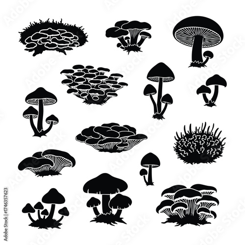Vector illustration of collection of mushroom silhouettes