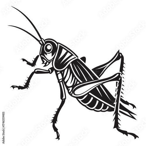 Stylized black and white illustration of a grasshopper