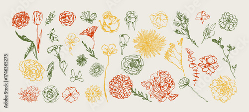 Floral set of flowers and twigs. Spring flowers on a white background. Flower collection, floral design elements vector set.