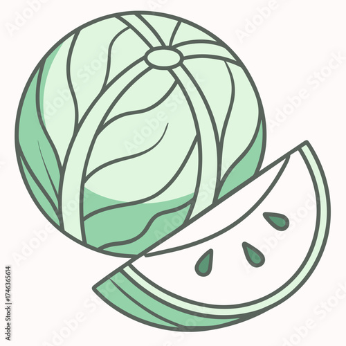 Fresh and healthy watermelon illustration on the plain background