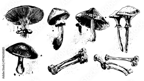 A collection of 6 small tattoo flash designs of mushrooms with bones and skeleton structures isolated on a white background