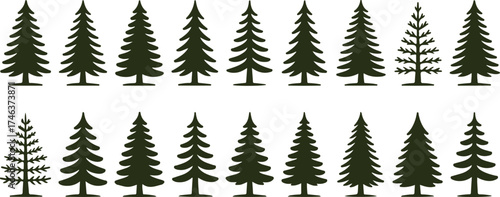 collection of pine tree silhouettes set, various conifer forest tree shapes and evergreen spruce icons, black vector illustration of nature elements for landscape, design, and decoration concepts