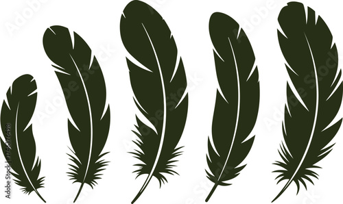 set of black feather silhouettes isolated on white background vector illustration of bird feathers collection symbol of lightness freedom nature and elegance design