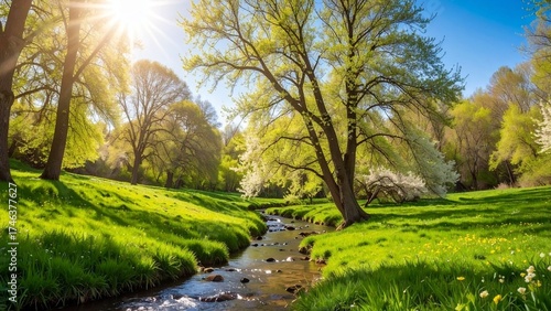 Fototapeta Naklejka Na Ścianę i Meble -  Beautiful summer landscape of a green park with trees, grass, and a river reflecting the blue sky