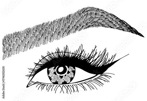 Illustration with woman's eye, eyelashes and eyebrow. Makeup Look. Tattoo design. Logo for brow bar or lash salon.