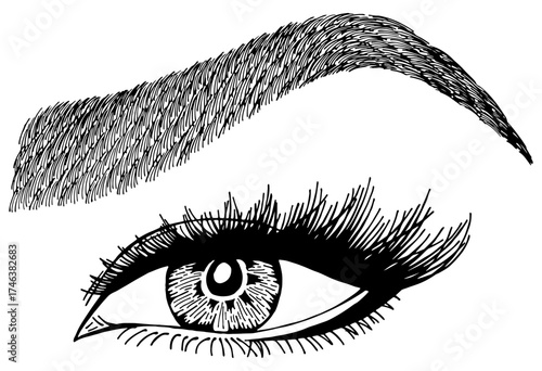 Illustration with woman's eye, eyelashes and eyebrow. Makeup Look. Tattoo design. Logo for brow bar or lash salon.