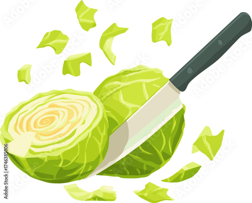 Fresh cabbage being chopped with a knife isolated on transparent background. Vector illustration.