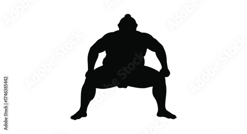 Silhouette of a sumo wrestler in a crouched ready stance isolated on a for athletic sports concepts