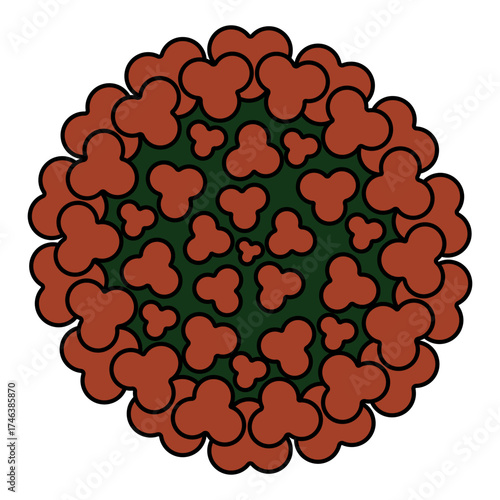 Chikungunya virus. Round red and green togovirus transmitted by the bite of a female mosquito. Color vector illustration. Isolated white background. Medical theme. Idea for web design.