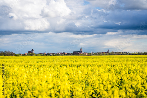View of Greifswald with Blooming Rapeseed Field in the Foreground on a Sunny Day