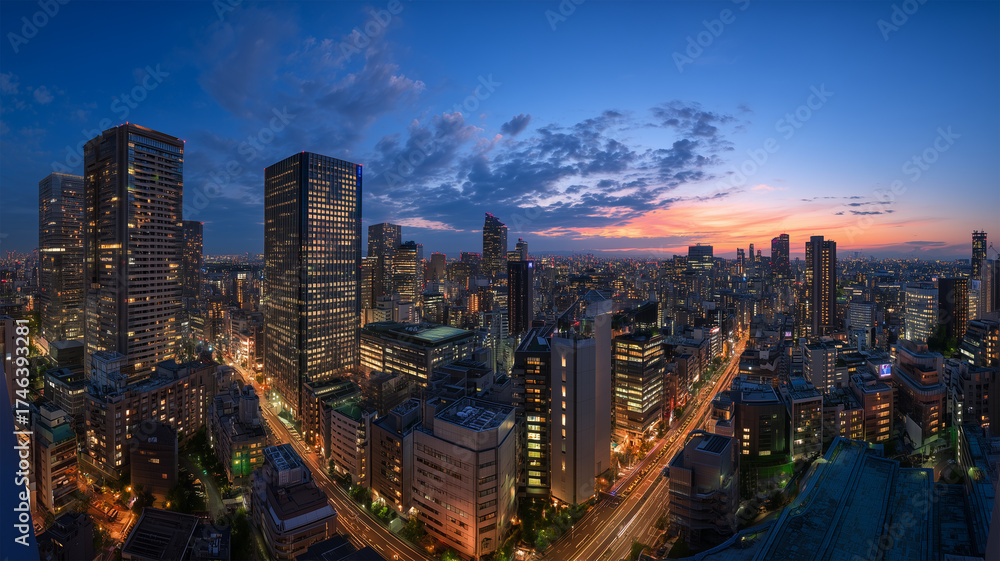 Fototapeta premium 日没直後の青い時間に街の灯りが走る大都市パノラマ、人物なし