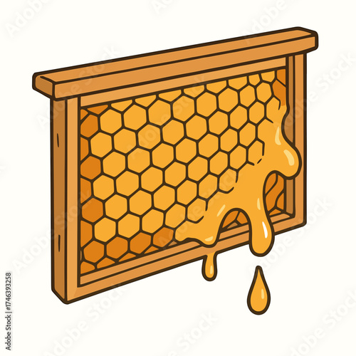 Beehive frame with honey