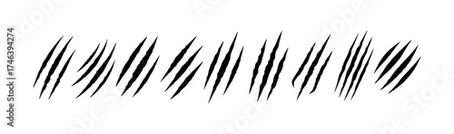 Vector illustration of multiple black diagonal lines arranged in a close formation