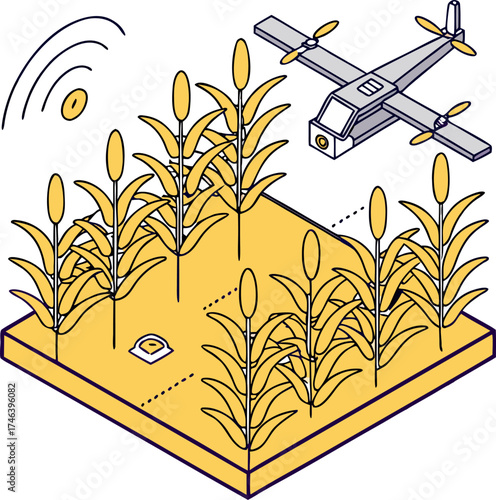 Isometric isolated vector of agricultural spraying drone flying over cornfield, representing smart farming technology and precision agriculture innovation.