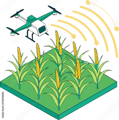 Smart farming isometric illustration showing drone spraying corn crops with pesticides, depicting modern agricultural technology and eco-friendly crop management.