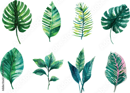 collection of green leaves