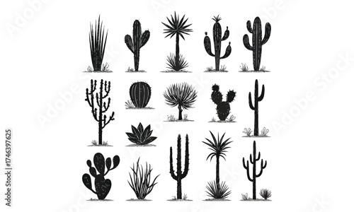 Cactus Silhouette Bundle | Desert Plant Vector Set | Succulent Clipart Collection