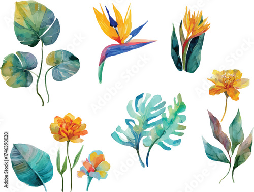vector set of flowers