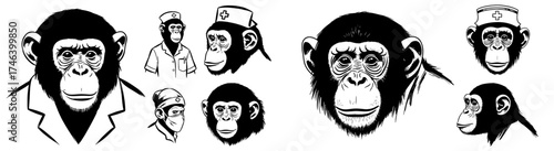 Illustrations of Chimpanzee Apes as Healthcare Workers in Medical Settings: Doctors, Nurses, & Surgeons, Representing Veterinary Medicine & Animal Health, Using a Cartoon Style for Education, Presenta