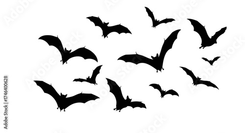 A vector graphic depicts a group of bats in silhouette flying against a white background, white background
