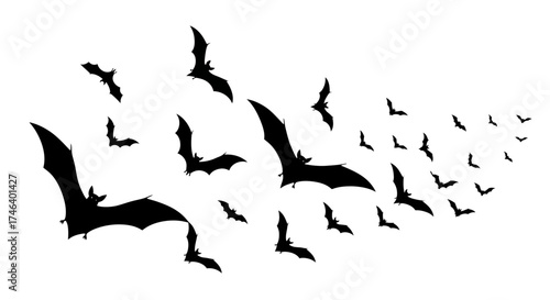 Silhouetted bats flying, a Halloween design element, white background