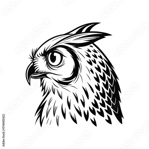 Majestic Owl Illustration Design