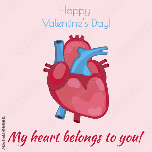 Happy Valentine's Day! Card, anatomical heart, heart, love, romance, holiday