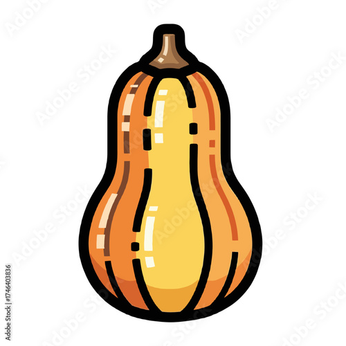 Vibrant Butternut Squash Illustration with Bold Outlines and Warm Tones.