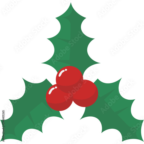 Christmas Holy Leaf