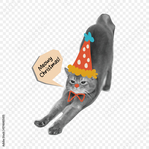 Christmas art collage clipart. Funny cut out cat in a cap. Modern retro-grunge mixed-media vector illustration on a transparent background.Festive holiday art for posters, cards, and digital design.