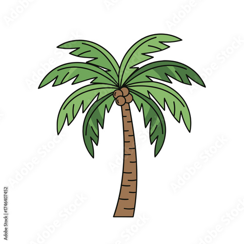 Jurrasic Palm