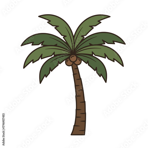 Jurrasic Palm Tree