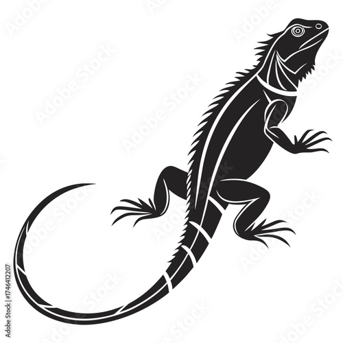 Stylized black iguana illustration on a dark background