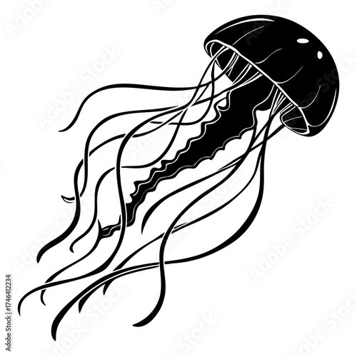 Abstract white jellyfish silhouette on black background