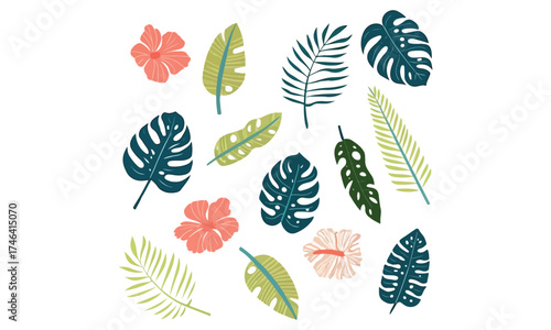 Tropical Leaf Clipart | Monstera and Palm Vector Set | Exotic Botanical Illustration Collection