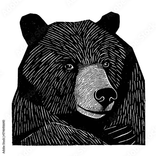 Woodcut linocut black on white illustration of a bear