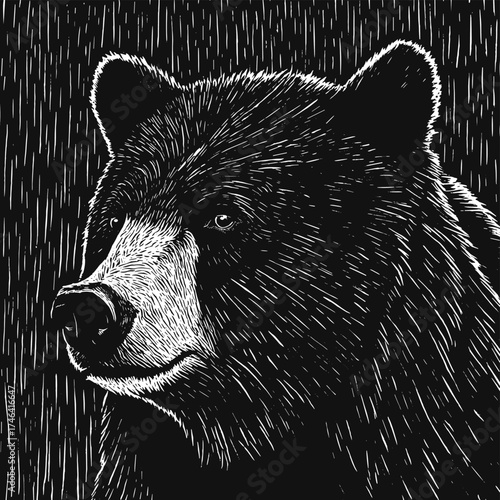 Woodcut linocut black on white illustration of a bear