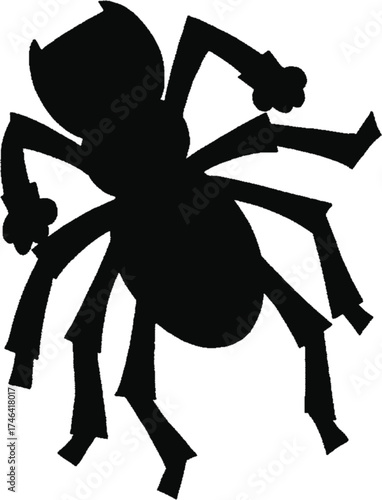 spider on a white background