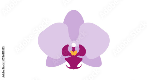 Stylized purple orchid flower isolated on white background for design